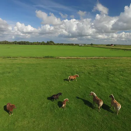 Hohenwarte Lantställe *