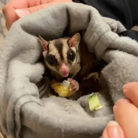 Hohenwarte Landhuis *