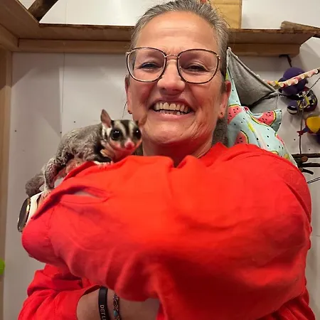 カントリーハウス Hohenwarte *