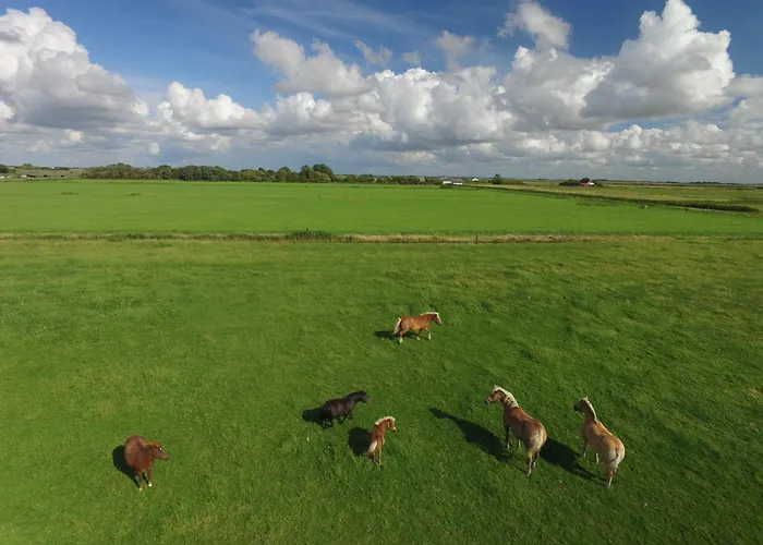 Hohenwarte 乡村民宿 *