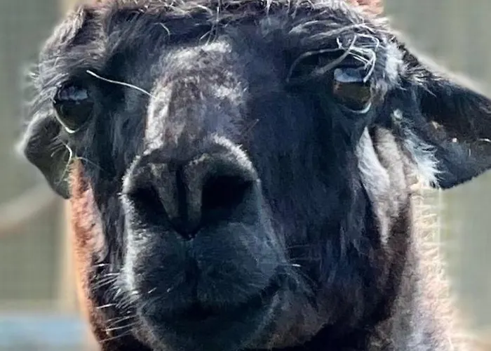 Hohenwarte Venkovský dům